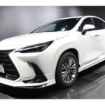 2023 LEXUS NX FOR SALE FROM JAPAN