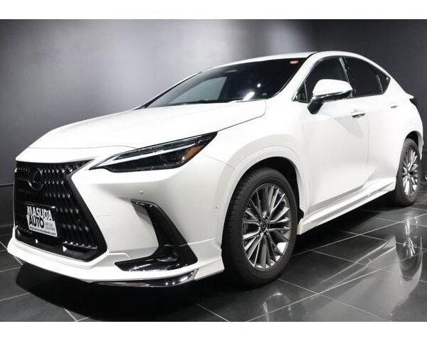 2023 LEXUS NX FOR SALE FROM JAPAN