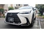 2024 LEXUS NX FOR SALE FROM JAPAN