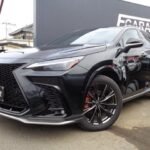 2025 LEXUS NX FOR SALE FROM JAPAN
