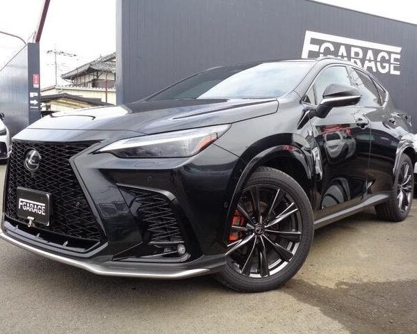 2025 LEXUS NX FOR SALE FROM JAPAN
