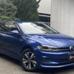 2021 VOLKSWAGEN POLO FOR SALE FROM JAPAN