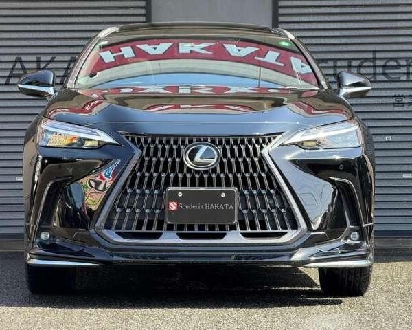 2021 LEXUS NX FOR SALE FROM JAPAN