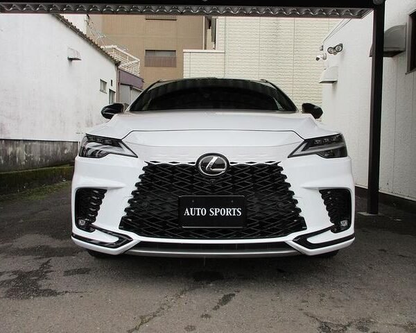2023 LEXUS RX FOR SALE FROM JAPAN