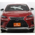 2021 LEXUS NX FOR SALE FROM JAPAN