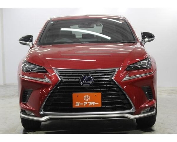 2021 LEXUS NX FOR SALE FROM JAPAN
