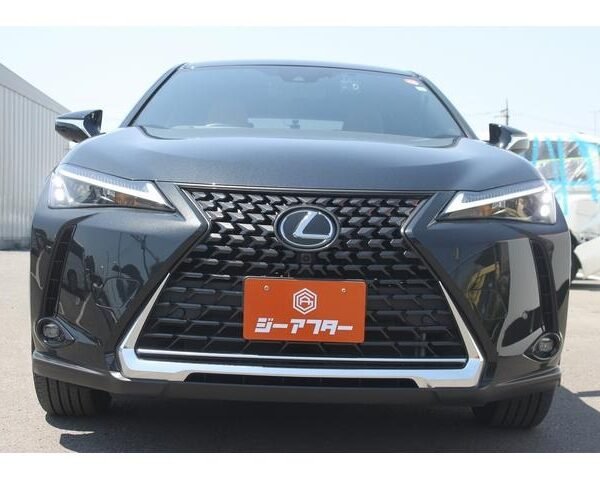 2023 LEXUS UX FOR SALE FROM JAPAN