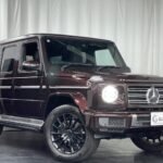 2020 MERCEDES BENZ G-CLASS FOR SALE FROM JAPAN