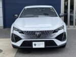 2023 PEUGEOT FOR SALE FROM JAPAN