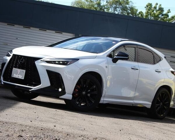 2023 LEXUS NX FOR SALE FROM JAPAN