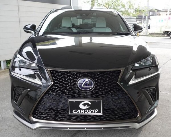 2020 LEXUS NX FOR SALE FROM JAPAN