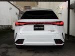 2023 LEXUS RX FOR SALE FROM JAPAN - Image 6