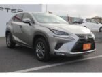 2020 LEXUS NX FOR SALE FROM JAPAN
