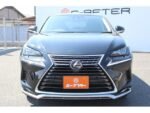 2020 LEXUS NX FOR SALE FROM JAPAN
