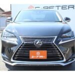 2020 LEXUS NX FOR SALE FROM JAPAN