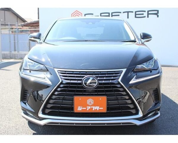 2020 LEXUS NX FOR SALE FROM JAPAN